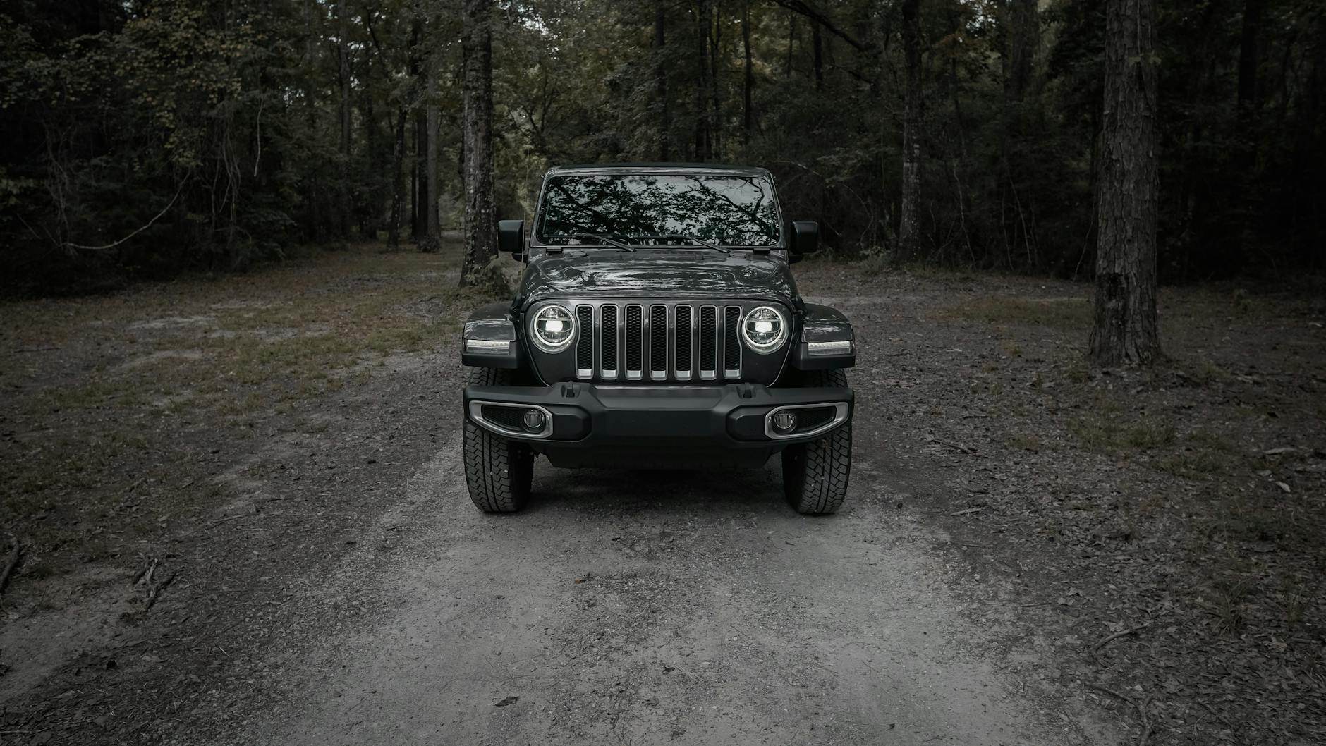 Jeep Gladiator on forest trail
