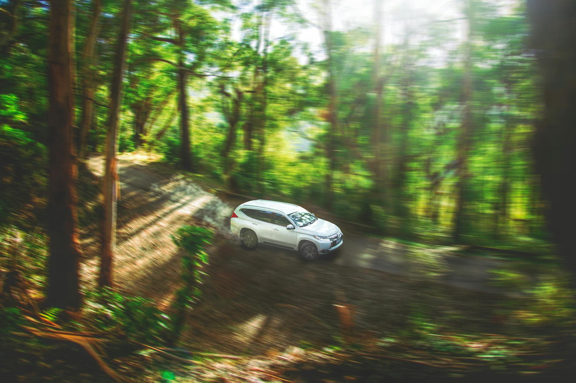 SUV on a forest trail