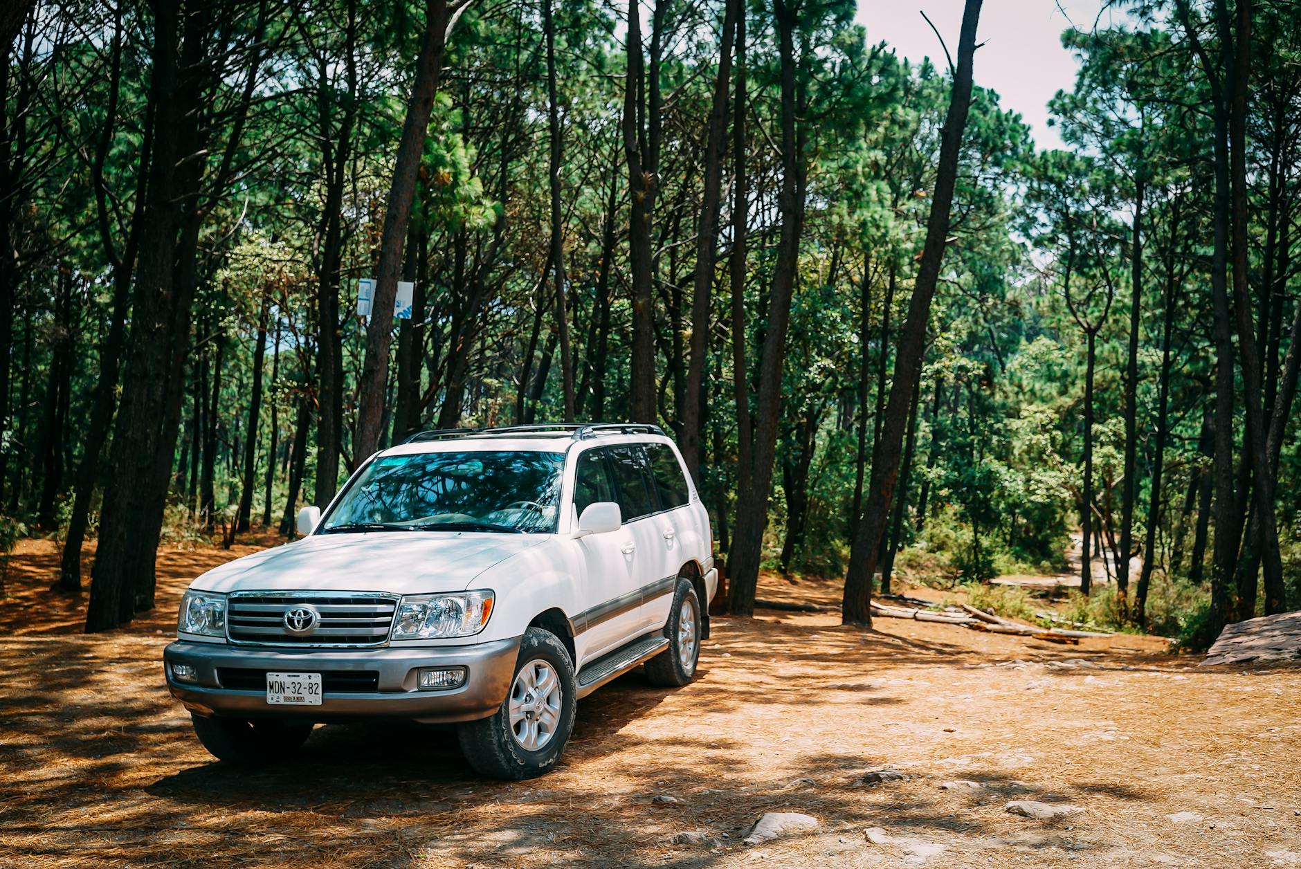 White SUV parked among trees in a forest